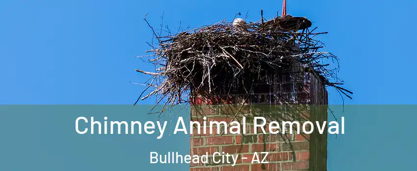 Chimney Animal Removal Bullhead City - AZ