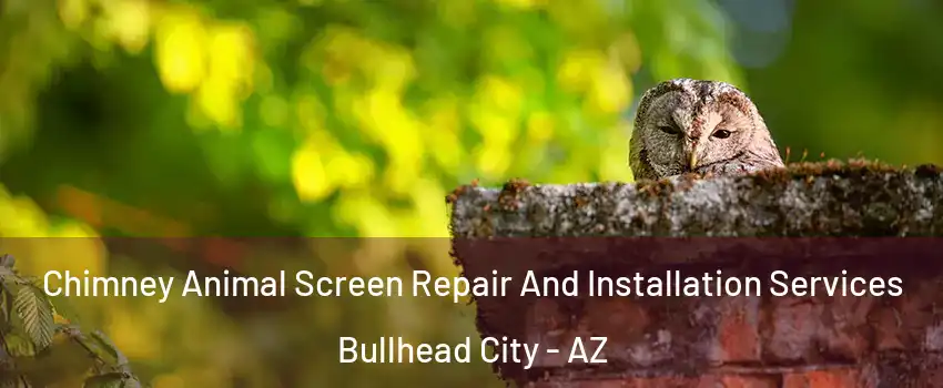  Chimney Animal Screen Repair And Installation Services Bullhead City - AZ