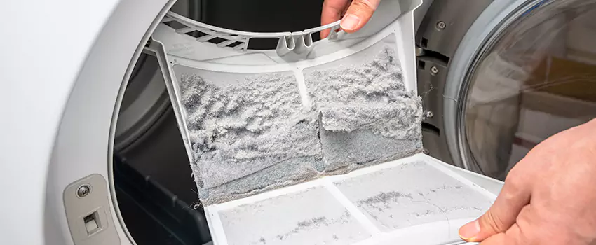 Best Dryer Lint Removal Company in Bullhead City, Arizona